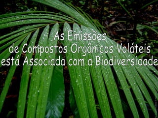 toCreditAntonioDNobre
 