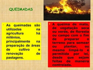 QUEIMADAS
 As queimadas são
utilizadas na
agricultura há
milênios,
principalmente na
preparação de áreas
de cultivo e
renovação de
pastagens.
 A queima de mato,
de vegetação seca
ou verde, de floresta
ou campo com o fim
de preparar o
terreno para semear
ou plantar, ou
mesmo limpá-lo é
permitida por lei,
desde que sejam
feitas de maneira
controlada.
 