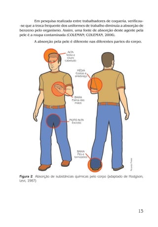 13
Em pesquisa realizada entre trabalhadores de coqueria, verificou-
-se que a troca frequente dos uniformes de trabalho diminuia a absorção de
benzeno pelo organismo. Assim, uma fonte de absorção deste agente pela
pele é a roupa contaminada (COLEMAN; COLEMAN, 2006).
A absorção pela pele é diferente nas diferentes partes do corpo.
Figura 2 Absorção de substâncias químicas pelo corpo (adaptado de Hodgson;
Levi, 1987)
ALTA
Testa e
couro
cabeludo
MÉDIA
Costas e
antebraço
BAIXA
Palma das
mãos
BAIXA
Pés e
tornozelos
MUITO ALTA
Escroto RicardoPretel
Benzeno2011.indd 13Benzeno2011.indd 13 22/10/2012 08:36:0522/10/2012 08:36:05
 