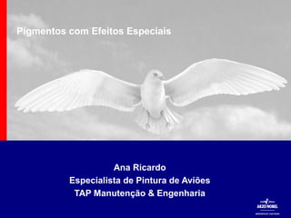 AEROSPACE COATINGS
Ana Ricardo
Especialista de Pintura de Aviões
TAP Manutenção & Engenharia
Pigmentos com Efeitos Especiais
 