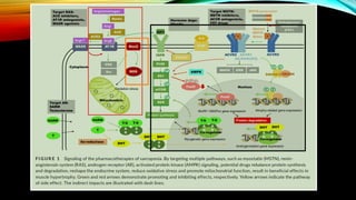 EFEK ACEI TERHADAP MASSA OTOT DAN SARKOPENIA.pptx