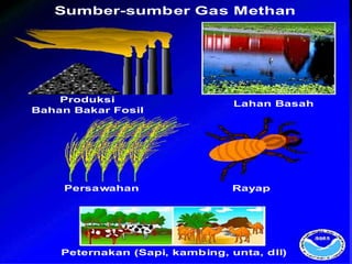 Sumber-sumber Gas Methan
Produksi
Bahan Bakar Fosil
Lahan Basah
Persawahan
Peternakan (Sapi, kambing, unta, dll)
Rayap
Sumber-sumber Gas Methan
Produksi
Bahan Bakar Fosil
Lahan Basah
Persawahan
Peternakan (Sapi, kambing, unta, dll)
Rayap
 