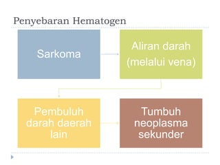 Penyebaran Hematogen

Sarkoma

Aliran darah
(melalui vena)

Pembuluh
darah daerah
lain

Tumbuh
neoplasma
sekunder

 