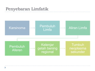 Penyebaran Limfatik

Karsinoma

Pembuluh
Limfa

Aliran Limfa

Pembuluh
Aferen

Kelenjar
getah bening
regional

Tumbuh
neoplasma
sekunder

 