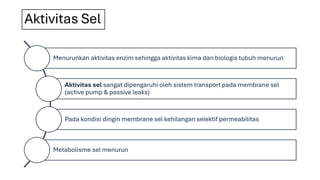 Aktivitas Sel
Menurunkan aktivitas enzim sehingga aktivitas kima dan biologis tubuh menurun
Aktivitas sel sangat dipengaruhi oleh sistem transport pada membrane sel
(active pump & passive leaks)
Pada kondisi dingin membrane sel kehilangan selektif permeabilitas
Metabolisme sel menurun
 