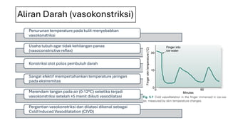 Aliran Darah (vasokonstriksi)
Penurunan temperature pada kulit menyebabkan
vasokonstriksi
Usaha tubuh agar tidak kehilangan panas
(vasoconstrictive reflex)
Konstriksi otot polos pembuluh darah
Sangat efektif mempertahankan temperature jaringan
pada ekstremitas
Merendam tangan pada air (0-12°C) seketika terjadi
vasokonstriksi setelah ±5 menit diikuti vasodilatasi
Pergantian vasokonstriksi dan dilatasi dikenal sebagai
Cold Induced Vasodilatation (CIVD)
 