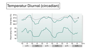 Temperatur Diurnal (circadian)
 