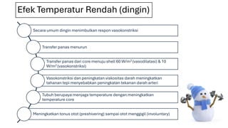 Efek Temperatur Rendah (dingin)
Secara umum dingin menimbulkan respon vasokonstriksi
Transfer panas menurun
Transfer panas dari core menuju shell 60 W/m2 (vasodilatasi) & 10
W/m2 (vasokonstriksi)
Vasokonstriksi dan peningkatan viskositas darah meningkatkan
tahanan tepi menyebabkan peningkatan tekanan darah arteri
Tubuh berupaya menjaga temperature dengan meningkatkan
temperature core
Meningkatkan tonus otot (preshivering) sampai otot menggigil (involuntary)
 