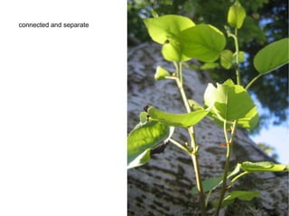 efellowship stuff poorband