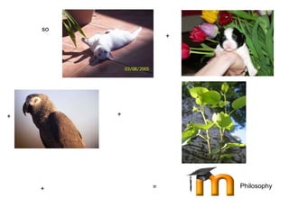 efellowship stuff poorband