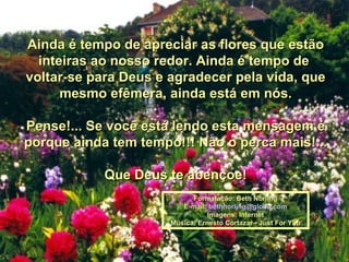 Ainda é tempo de apreciar as flores que estão inteiras ao nosso redor. Ainda é tempo de  voltar-se para Deus e agradecer pela vida, que mesmo efêmera, ainda está em nós. Pense!... Se você está lendo esta mensagem é porque ainda tem tempo!!! Não o perca mais!... Que Deus te abençoe! Formatação: Beth Norling E-mail:  [email_address] Imagens: Internet Música: Ernesto Cortazar - Just For You 