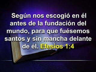 Según nos escogió en él
antes de la fundación del
mundo, para que fuésemos
santos y sin mancha delante
de él. Efesios 1:4
 