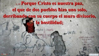 Ef 2, 14
2, 14:2, 14: Porque Cristo es nuestra paz,Porque Cristo es nuestra paz,
el que de dos pueblos hizo uno solo,el que de dos pueblos hizo uno solo,
derribando con su cuerpo el muro divisorio,derribando con su cuerpo el muro divisorio,
la hostilidad;la hostilidad;
 