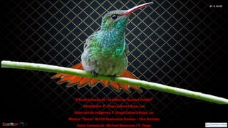 Ef 2, 21-22
©Texto tomado de “La Biblia de Nuestro Pueblo”©Texto tomado de “La Biblia de Nuestro Pueblo”
Adaptación: P. Diego Cabrera Rojas, sscAdaptación: P. Diego Cabrera Rojas, ssc
Selección de Imágenes: P. Diego Cabrera Rojas, sscSelección de Imágenes: P. Diego Cabrera Rojas, ssc
Música: “Dulce” del CD Ayahuasca Dreams – Ciro HurtadoMúsica: “Dulce” del CD Ayahuasca Dreams – Ciro Hurtado
Fotos Cortesía de: Michael Bonocore / P. DiegoFotos Cortesía de: Michael Bonocore / P. Diego
 