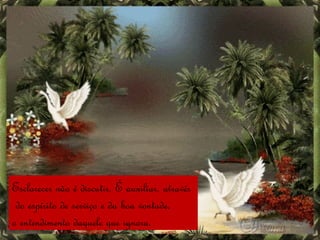 Esclarecer não é discutir. É auxiliar, através do espírito de serviço e da boa vontade, o entendimento daquele que ignora. 