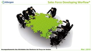 Sales Force Developing Worflow®
Acompanhamento das Atividades dos Gestores da Força de Vendas Mai | 2016
 