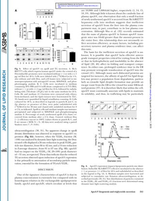 ApoA-V biogenesis and triglyceride secretion 241
are 10,000- and 1,000-fold higher, respectively (1, 14, 15,
18, 19). Although little is known about the catabolic fate of
plasma apoA-V, our observation that only a small fraction
of newly synthesized apoA-V is secreted from McA-RH7777
hepatoma cells into medium suggests that inefﬁcient
secretion of apoA-V from the liver into the plasma com-
partment may, in part, contribute to its low plasma con-
centration. Although Shu et al. (32) recently estimated
that the mass of plasma apoA-V in human apoA-V trans-
genic mice was 4-fold greater than the amount present in
the entire liver, this relationship does not necessarily re-
ﬂect secretion efﬁciency, as many factors, including pre-
secretory turnover and plasma residence time, can affect
this ratio.
The basis for the inefﬁcient secretion of apoA-V is un-
known. It is possible that apoA-V lacks effective antero-
grade transport properties critical for exiting from the ER
or that its hydrophobicity and insolubility in the absence
of lipid (20, 40) affect its folding and transport compe-
tence. In either case, prolonged residence time in the ER
may promote retrograde translocation of apoA-V into the
cytosol (41). Although many such dislocated proteins are
targeted for turnover, the afﬁnity of apoA-V for lipid drop-
lets may protect a population from degradation, particu-
larly as cytosolic lipid droplet formation may provide an
escape route from the ER to the cytosol for some ER-local-
ized proteins (37). It is therefore likely that within the cell,
apoA-V must continually associate with lipids to maintain
its solubility, and thus, its trafﬁcking may be particularly
ultracentrifugation (30, 31). No apparent change in apoB
density distribution was observed in response to apoA-V ex-
pression (Fig. 6A); however, when the VLDL1 fraction (Sf,
>100) was analyzed by dynamic laser light scattering, the Dox-
treated cells displayed a 26 nm reduction in peak VLDL1 par-
ticle size diameter, from 66 to 42 nm, and a 14 nm reduction
in Z-average diameter, from 81 to 67 nm (Fig. 6B); apoA-V
had no impact on the VLDL2 (Sf, 20–100) peak diameter
of ‫ف‬31 nm, as expected. These data indicate that the reduced
TG secretion observed upon induction of apoA-V expression
is due primarily to attenuation of second-step particle matu-
ration, essential for the formation of TG-rich VLDL.
DISCUSSION
One of the signature characteristics of apoA-V is that its
plasma concentration is extremely low compared with its
homologous relatives in the exchangeable apolipoprotein
family, apoA-I and apoA-IV, which circulate at levels that
Fig. 5. Effect of apoA-V on apoB and TG secretion. A: McA-
RH7777 cells, which express human apoA-V under the control of a
Dox-inducible promoter, were incubated without (Ϫ) or with (+) 1
µg/ml Dox for 48 h. Cells were labeled with [
35
S]Met-Cys for 4 h,
also without and with Dox, and cell lysates were subjected to im-
munoprecipitation with anti-apoA-V serum, SDS-PAGE, and phos-
phorimaging analysis. B, C: Cells were incubated in medium
containing 20% FBS and 0.4 mM oleate complexed to 0.75% BSA,
without (Ϫ) or with (+) 1 µg/ml Dox for 24 h, followed by radiola-
beling with [
3
H]oleate (10 µCi/ml) in the same medium for 24 h.
Cells (B) and medium (C) fractions were extracted with chloro-
form-methanol, and the lipid extracts were fractionated by TLC.
TG bands were quantiﬁed by liquid scintillation counting. D: Cells
cultured for 48 h, as described in legends to panels B and C, in
the absence or presence of Dox, were pulse radiolabeled with
[
35
S]Met-Cys for 30 min and chased with unlabeled medium for 0
or 2 h, as indicated. ApoB in cells and medium samples was immuno-
precipitated and subjected to SDS-PAGE and phosphorimaging
analysis. E: Percentage of newly synthesized apoB (0 h chase) re-
covered from medium after a 2 h chase. Control (without Dox
[Ϫ]) efﬁciency was set to 100% (values shown in panels B, C, and
E are means ± SEM; N = 3). All data were analyzed using a paired
Student t-test (*, P < 0.05).
Fig. 6. ApoA-V expression impacts lipoprotein particle size distri-
bution. Inducible McA-RH7777 cells were incubated in the absence
(Ϫ) or presence (+) of Dox for 48 h and radiolabeled as described
in the legend to Fig. 5A. A: Medium samples were harvested and
subjected to cumulative rate ﬂotation ultracentrifugation, as de-
scribed previously (30, 31). Size distributions of particles contained
in the VLDL1 (B) and VLDL2 (C) fractions were determined using
dynamic laser light scattering analysis.
byguest,onNovember1,2015www.jlr.orgDownloadedfrom
.html
http://www.jlr.org/content/suppl/2010/11/26/jlr.M010793.DC1
Supplemental Material can be found at:
 