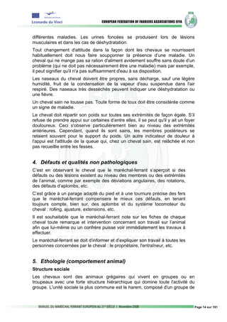différentes maladies. Les urines foncées se produisent lors de lésions
musculaires et dans les cas de déshydratation.
Tout changement d'attitude dans la façon dont les chevaux se nourrissent
habituellement doit nous faire soupçonner la présence d’une maladie. Un
cheval qui ne mange pas sa ration d'aliment avidement souffre sans doute d’un
problème (qui ne doit pas nécessairement être une maladie) mais par exemple,
il peut signifier qu'il n'a pas suffisamment d'eau à sa disposition.
Les naseaux du cheval doivent être propres, sans décharge, sauf une légère
humidité, fruit de la condensation de la vapeur d'eau suspendue dans l'air
respiré. Des naseaux très desséchés peuvent indiquer une déshydratation ou
une fièvre.
Un cheval sain ne tousse pas. Toute forme de toux doit être considérée comme
un signe de maladie.
Le cheval doit répartir son poids sur toutes ses extrémités de façon égale. S’il
refuse de prendre appui sur certaines d’entre elles, il se peut qu'il y ait un foyer
douloureux. Ceci s'observe particulièrement bien au niveau des extrémités
antérieures. Cependant, quand ils sont sains, les membres postérieurs se
relaient souvent pour le support du poids. Un autre indicateur de douleur à
l'appui est l'attitude de la queue qui, chez un cheval sain, est relâchée et non
pas recueillie entre les fesses.


4. Défauts et qualités non pathologiques
C’est en observant le cheval que le maréchal-ferrant s’aperçoit si des
défauts ou des lésions existent au niveau des membres ou des extrémités
de l’animal, comme par exemple des déviations angulaires, des rotations,
des défauts d’aplombs, etc.
C’est grâce à un parage adapté du pied et à une tournure précise des fers
que le maréchal-ferrant compensera le mieux ces défauts, en tenant
toujours compte, bien sur, des aplombs et du système locomoteur du
cheval : rolling, ajusture, extensions, etc.
Il est souhaitable que le maréchal-ferrant note sur les fiches de chaque
cheval toute remarque et intervention concernant son travail sur l’animal
afin que lui-même ou un confrère puisse voir immédiatement les travaux à
effectuer.
Le maréchal-ferrant se doit d’informer et d’expliquer son travail à toutes les
personnes concernées par le cheval : le propriétaire, l'entraîneur, etc.


5. Ethologie (comportement animal)
Structure sociale
Les chevaux sont des animaux grégaires qui vivent en groupes ou en
troupeaux avec une forte structure hiérarchique qui domine toute l'activité du
groupe. L'unité sociale la plus commune est le harem, composé d'un groupe de



                                                                                   Page 14 sur 191
 