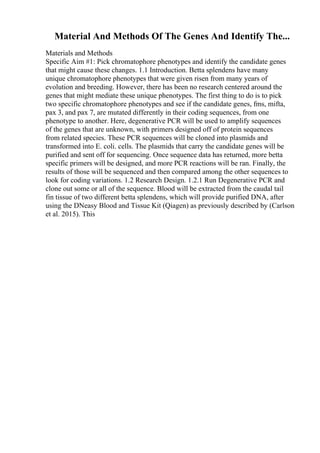 Material And Methods Of The Genes And Identify The...
Materials and Methods
Specific Aim #1: Pick chromatophore phenotypes and identify the candidate genes
that might cause these changes. 1.1 Introduction. Betta splendens have many
unique chromatophore phenotypes that were given risen from many years of
evolution and breeding. However, there has been no research centered around the
genes that might mediate these unique phenotypes. The first thing to do is to pick
two specific chromatophore phenotypes and see if the candidate genes, fms, mifta,
pax 3, and pax 7, are mutated differently in their coding sequences, from one
phenotype to another. Here, degenerative PCR will be used to amplify sequences
of the genes that are unknown, with primers designed off of protein sequences
from related species. These PCR sequences will be cloned into plasmids and
transformed into E. coli. cells. The plasmids that carry the candidate genes will be
purified and sent off for sequencing. Once sequence data has returned, more betta
specific primers will be designed, and more PCR reactions will be ran. Finally, the
results of those will be sequenced and then compared among the other sequences to
look for coding variations. 1.2 Research Design. 1.2.1 Run Degenerative PCR and
clone out some or all of the sequence. Blood will be extracted from the caudal tail
fin tissue of two different betta splendens, which will provide purified DNA, after
using the DNeasy Blood and Tissue Kit (Qiagen) as previously described by (Carlson
et al. 2015). This
 