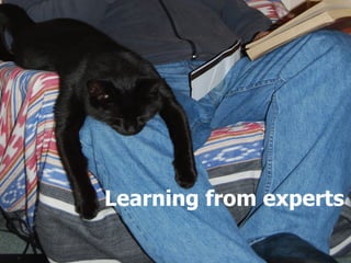 Learning from experts 