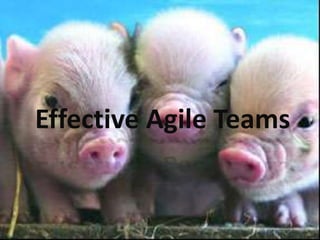 Effective Agile Teams
 