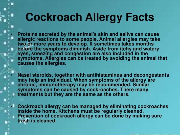 cockroach allergy cockroach allergy