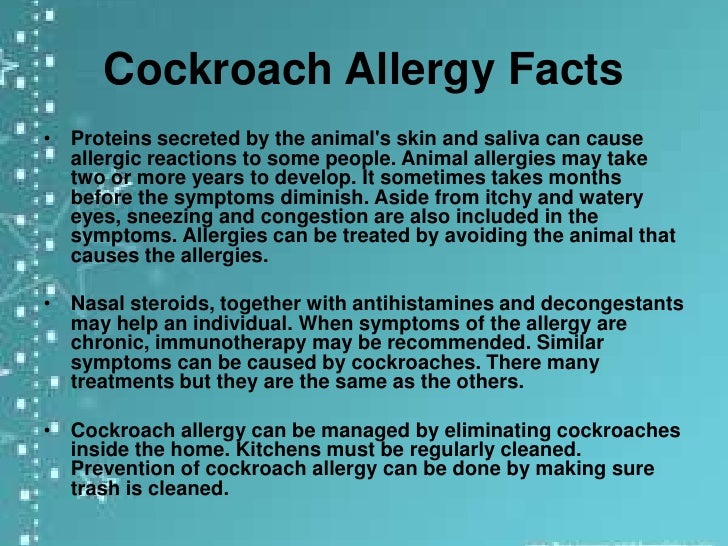 cockroach allergy