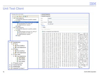 Unit Test Client




42                 © 2012 IBM Corporation
 