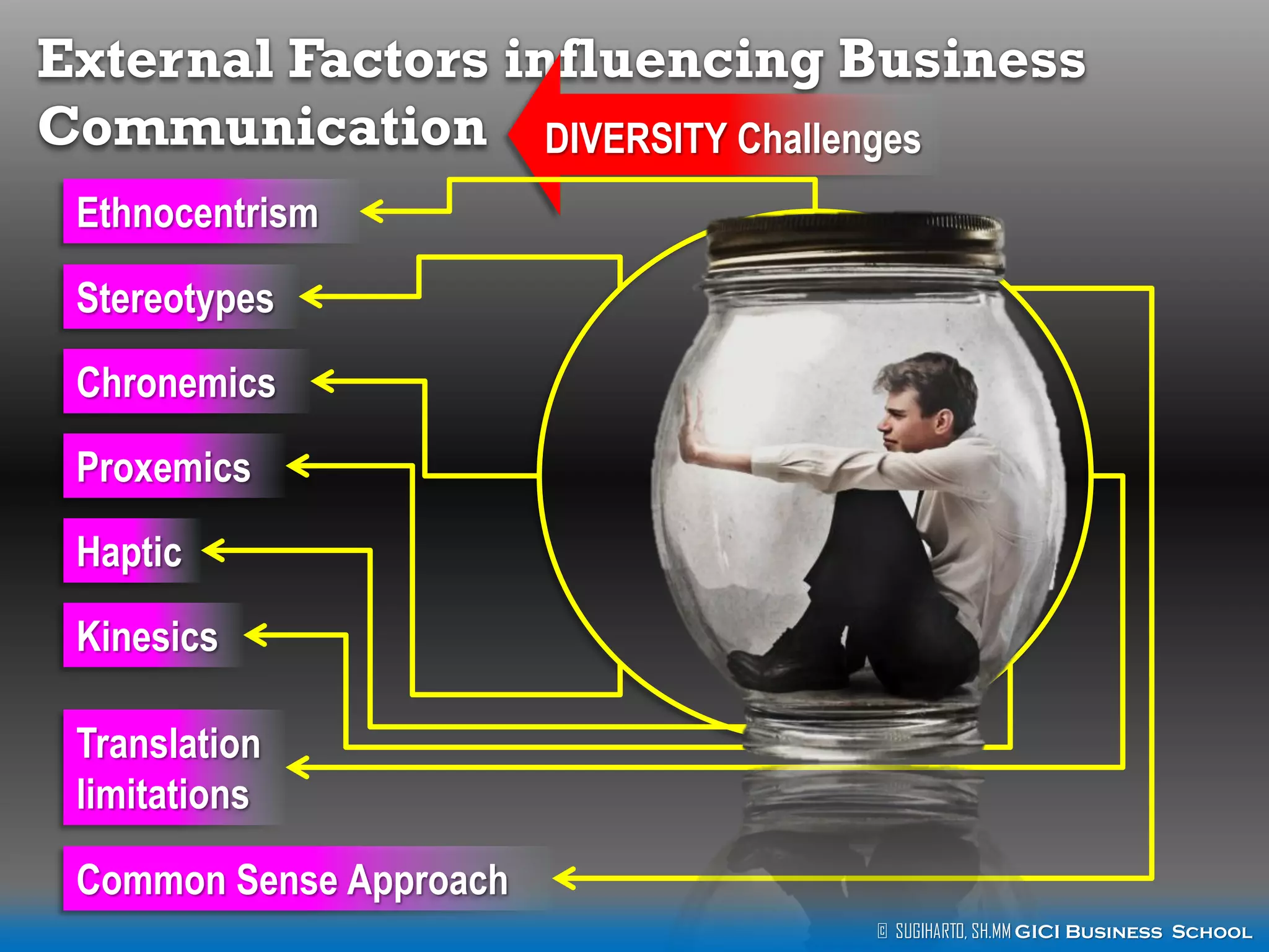 External Factors influencing Business
Communication DIVERSITY Challenges
Ethnocentrism
Stereotypes
Chronemics
Proxemics
Haptic
Kinesics
Translation
limitations
Common Sense Approach
© SUGIHARTO, SH.MM GICI Business School

 