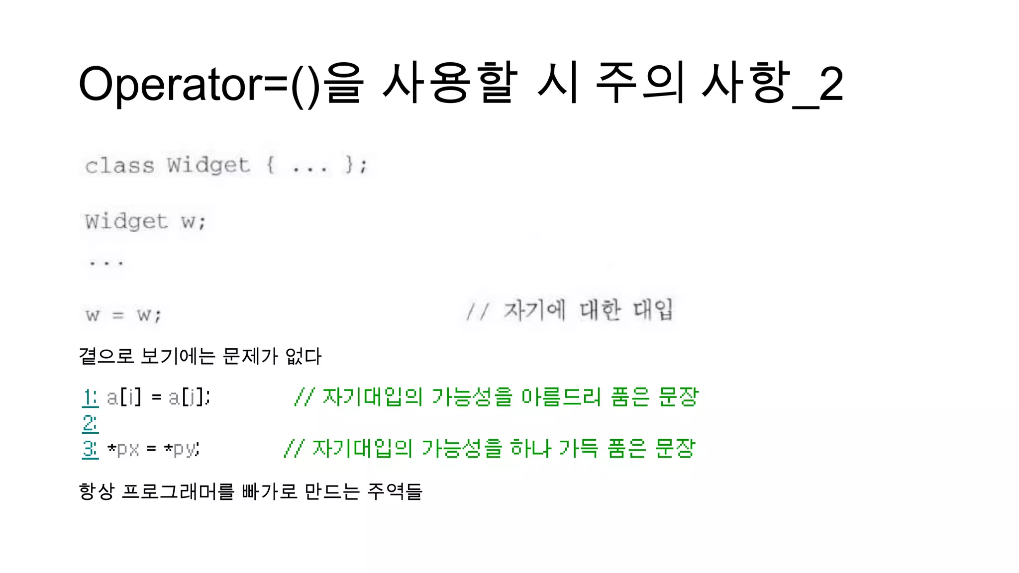 Operator=()을 사용할 시 주의 사항_2
곁으로 보기에는 문제가 없다
항상 프로그래머를 빠가로 만드는 주역들
 
