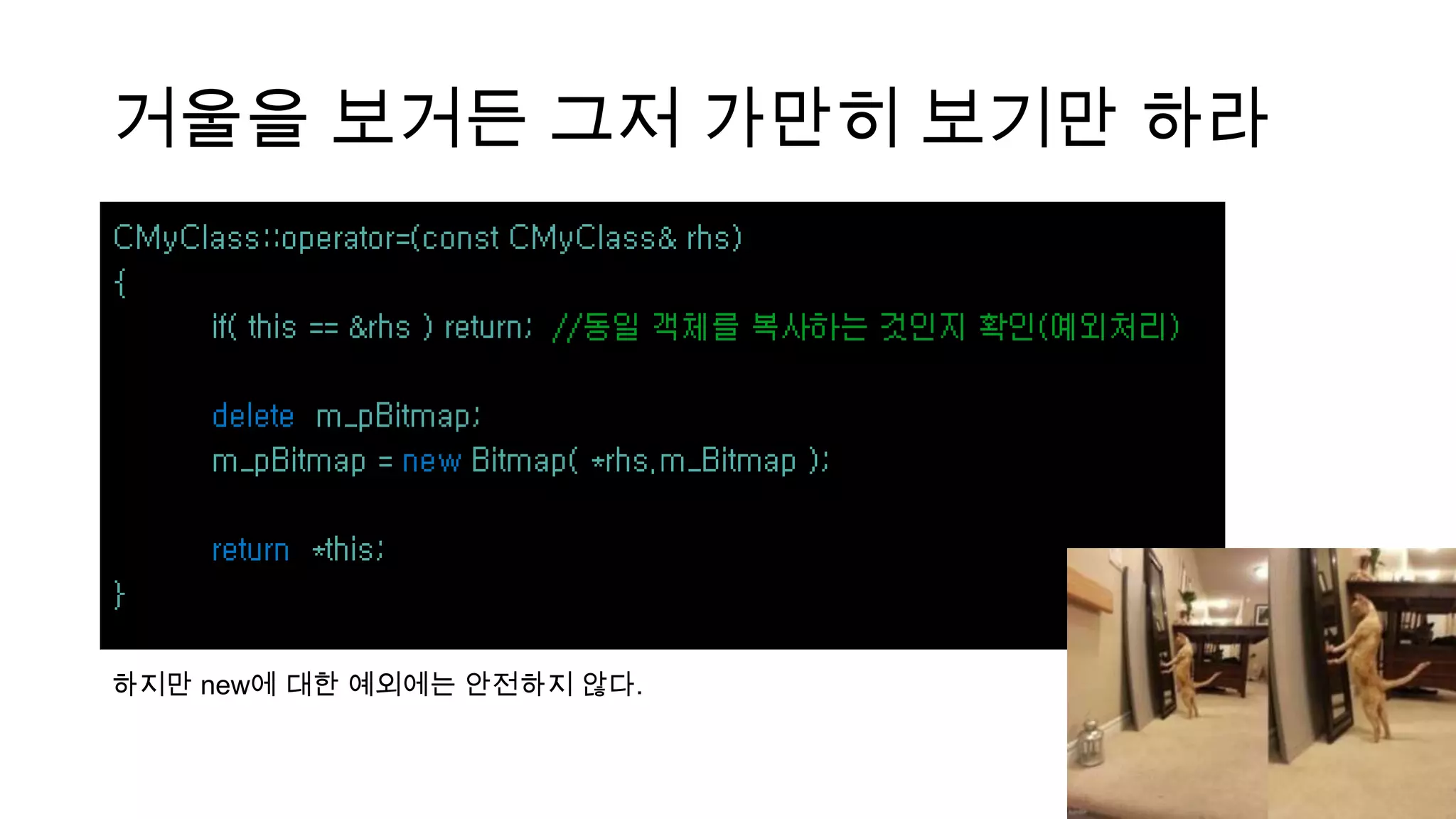 거울을 보거든 그저 가만히 보기만 하라
하지만 new에 대한 예외에는 안전하지 않다.
 