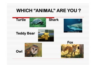WHICH “ANIMAL” ARE YOU ?
Turtle       Shark


Teddy Bear

                     Fox

Owl
 