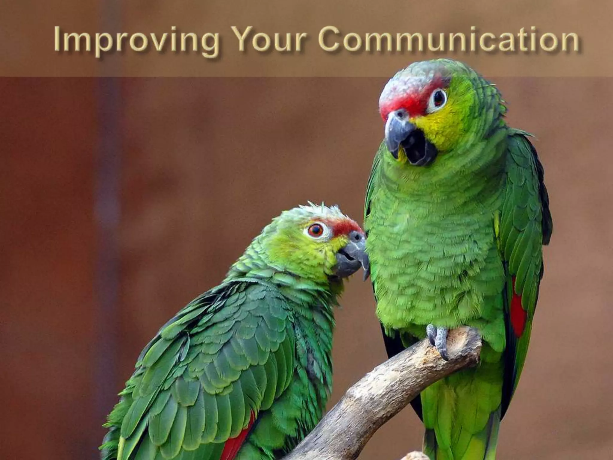 Improving Your Communication