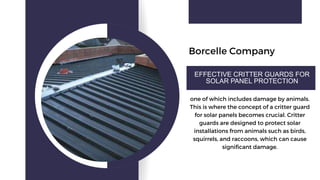 Borcelle Company
EFFECTIVE CRITTER GUARDS FOR
SOLAR PANEL PROTECTION
one of which includes damage by animals.
This is where the concept of a critter guard
for solar panels becomes crucial. Critter
guards are designed to protect solar
installations from animals such as birds,
squirrels, and raccoons, which can cause
significant damage.
 
