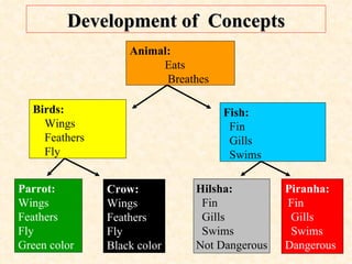 Development of  Concepts Birds:   Wings   Feathers   Fly Animal:  Eats   Breathes   Crow: Wings Feathers Fly Black color Parrot: Wings Feathers Fly Green color Fish:   Fin   Gills Swims   Hilsha:   Fin   Gills Swims  Not Dangerous Piranha:   Fin   Gills Swims  Dangerous 