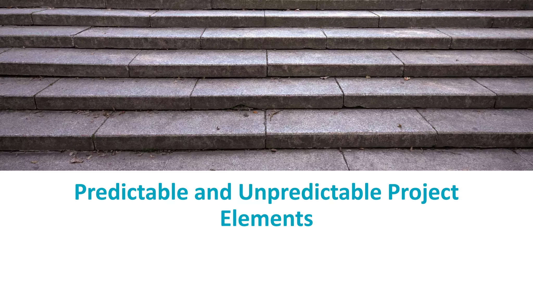 Predictable and Unpredictable Project
Elements
 