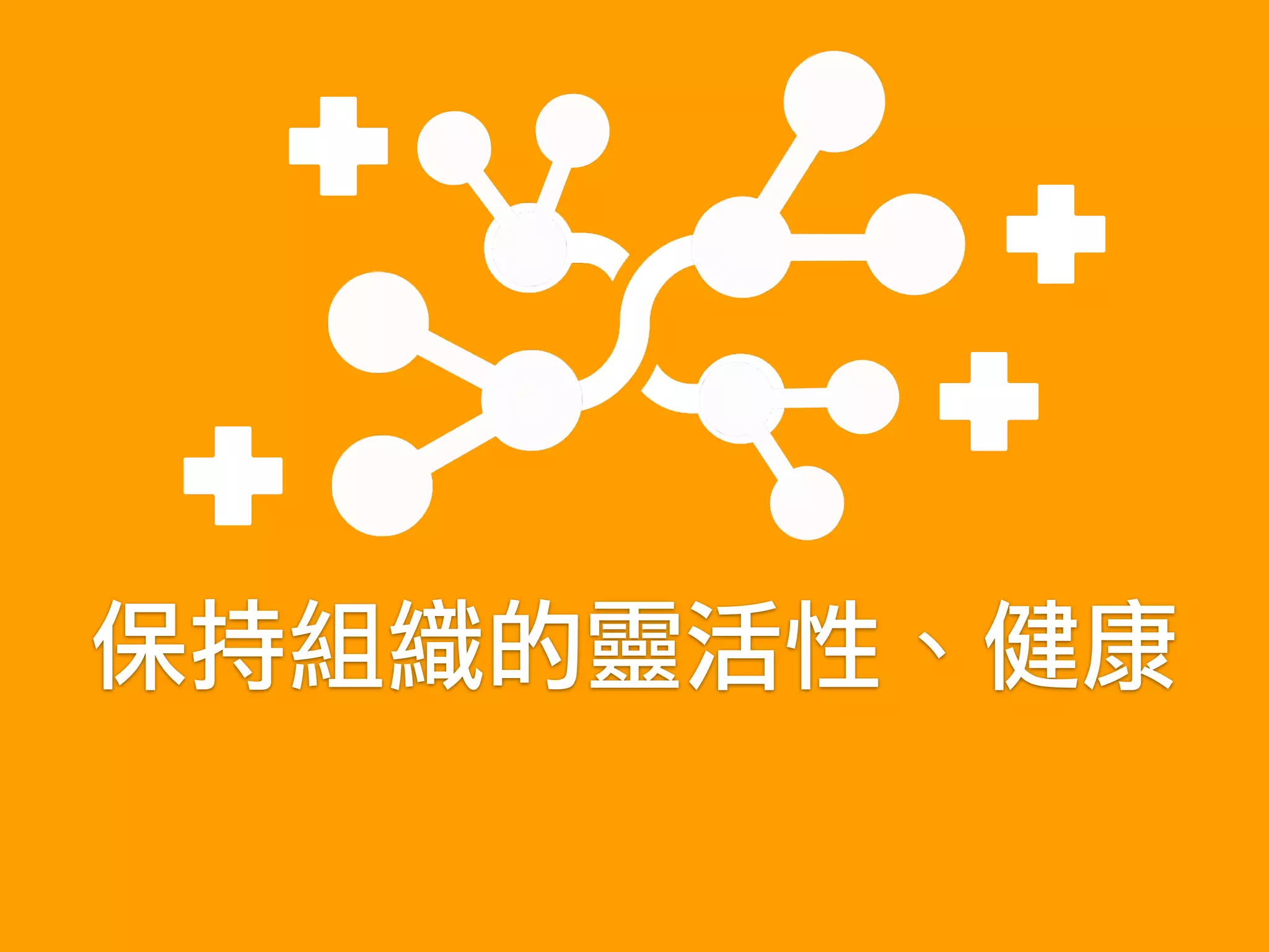 保持組織的靈活性、健康
 