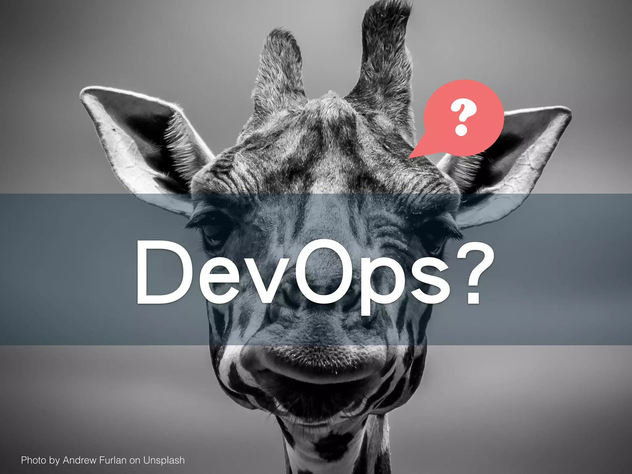 Photo by Andrew Furlan on Unsplash
DevOps?
?
 