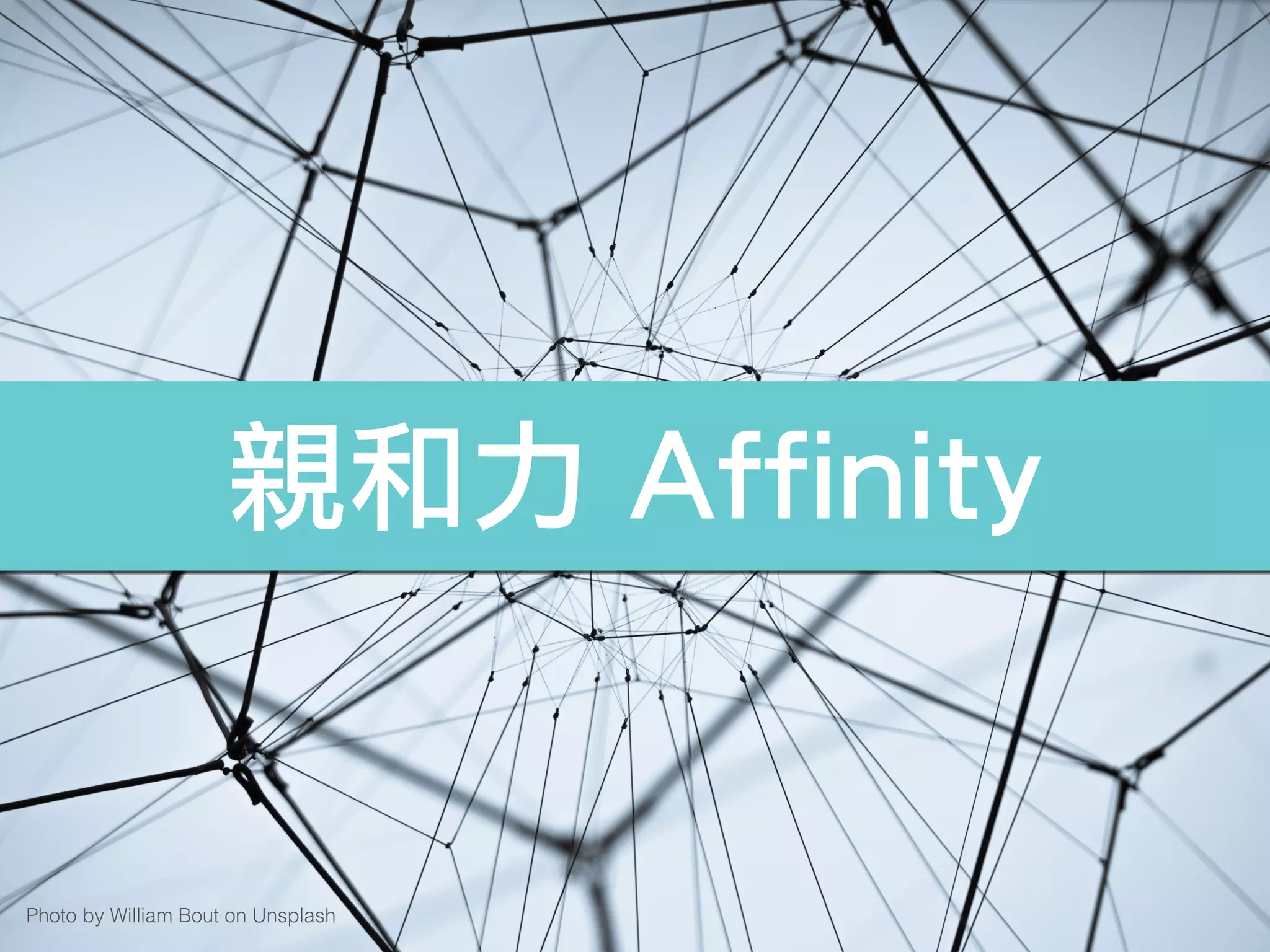 親和力 Affinity
Photo by William Bout on Unsplash
 