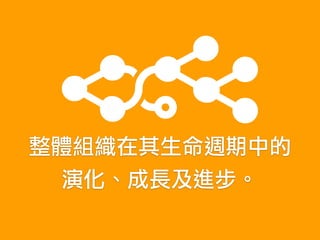 整體組織在其生命週期中的 
演化、成長及進步。
 