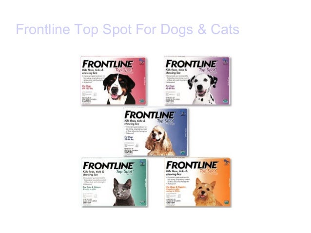 endectrid flea for dogs