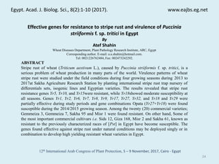 Effective genes for__resistance_to_wheat_stripe_rust_atef_shahin_egypt ...