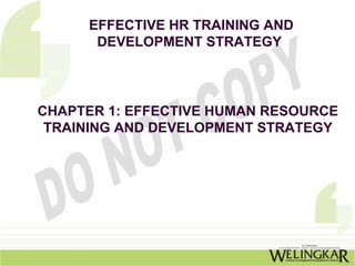 Effective HR Training & Development Strategies | PDF