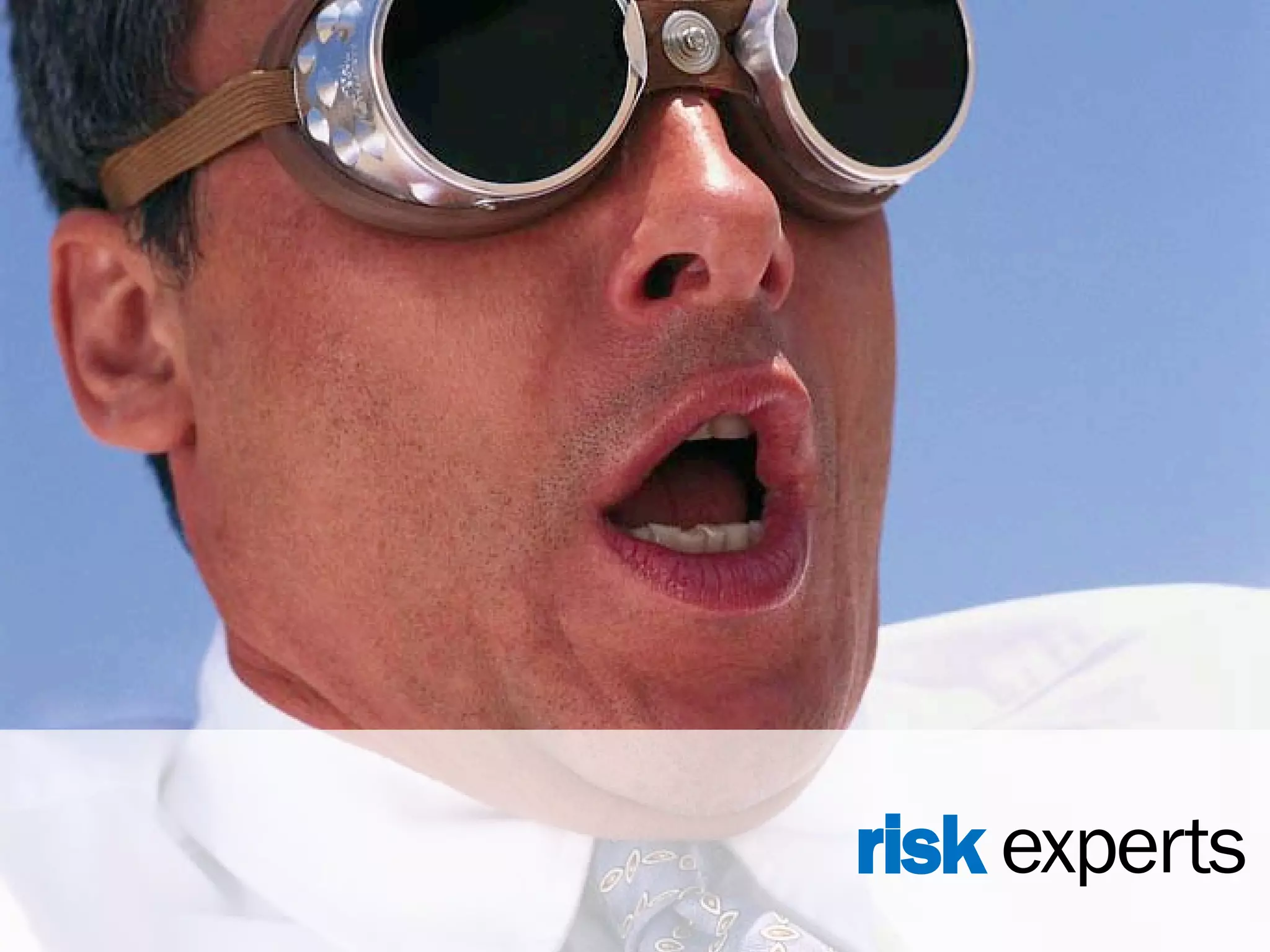 risk experts
 
