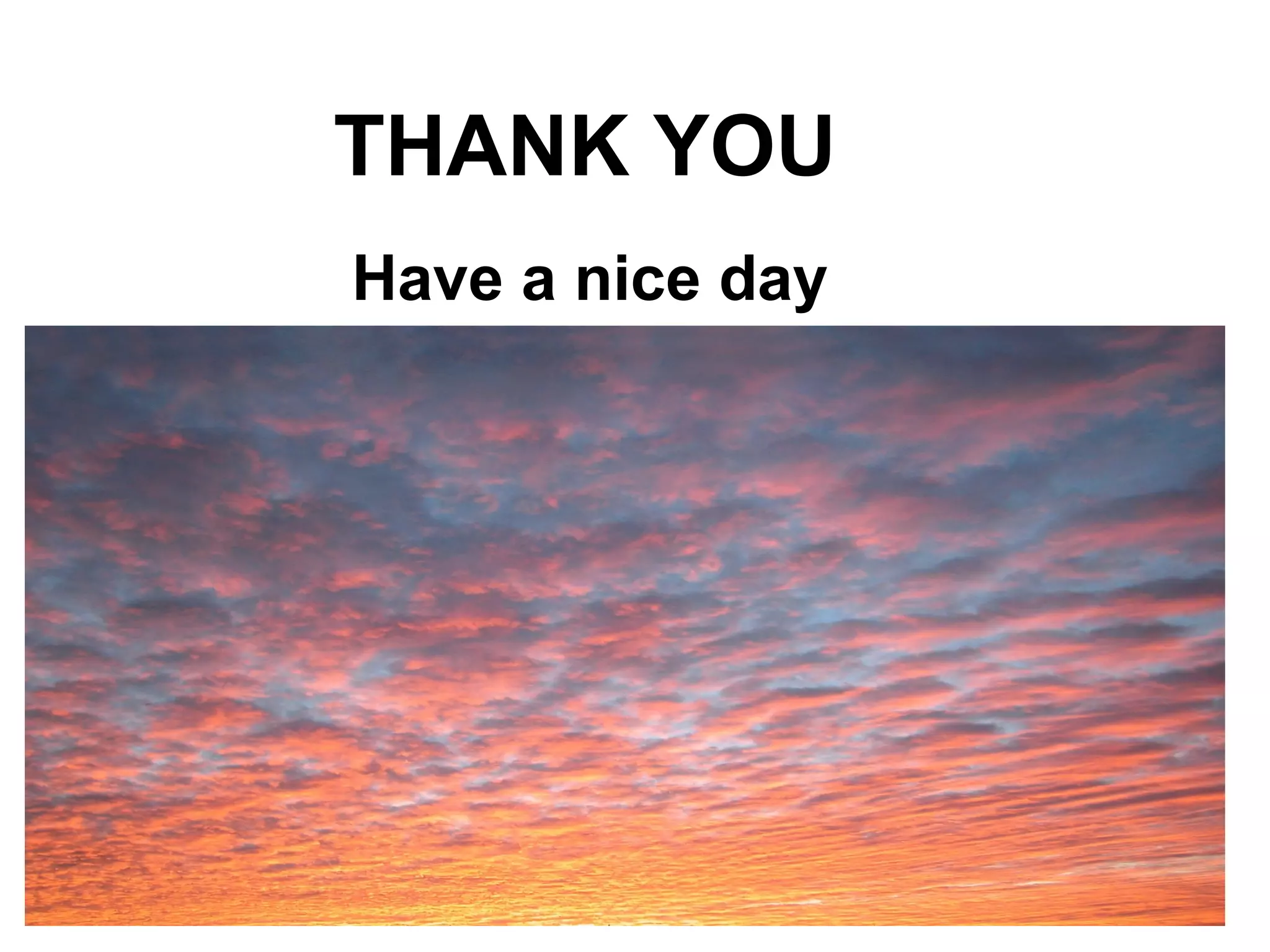 THANK YOU Have a nice day 