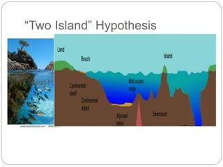 “Two Island” Hypothesis 
 