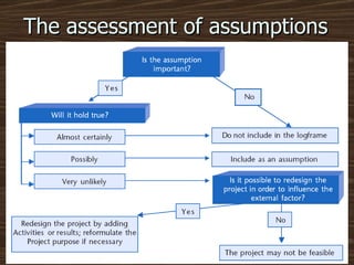 The assessment of assumptions 