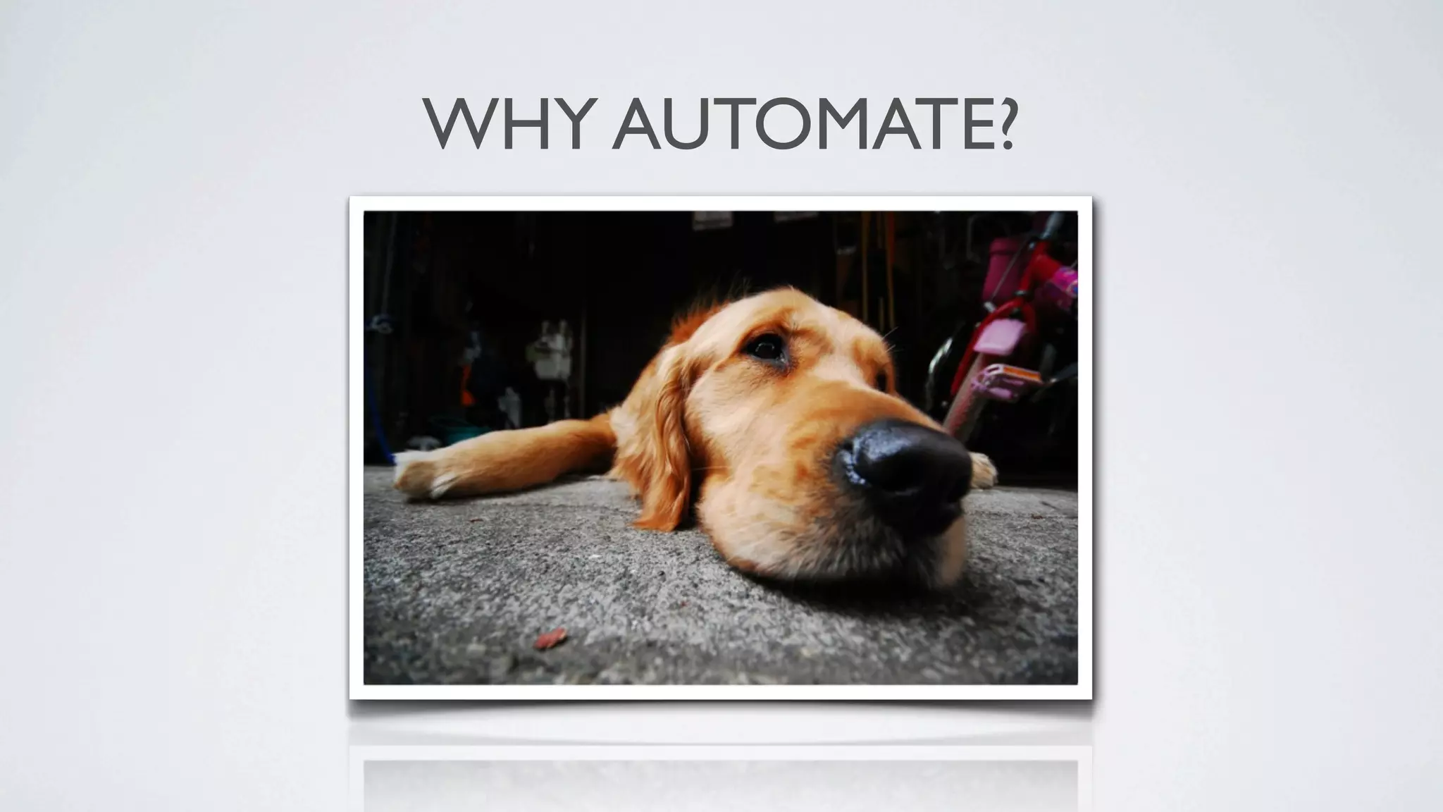 WHY AUTOMATE?
 