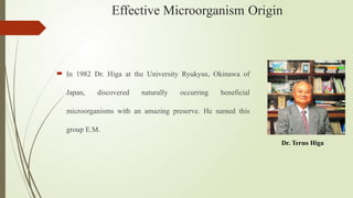 Effective Microorganism Origin
 In 1982 Dr. Higa at the University Ryukyus, Okinawa of
Japan, discovered naturally occurring beneficial
microorganisms with an amazing preserve. He named this
group E.M.
Dr. Teruo Higa
 