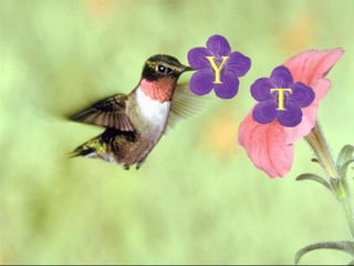 Effectiveness of digital Marketing